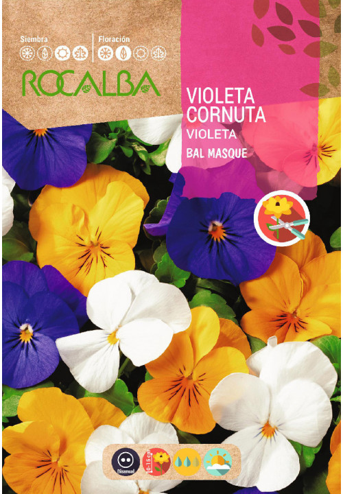 VIOLETA CORNUTA BAL MASQUE, VARIADA