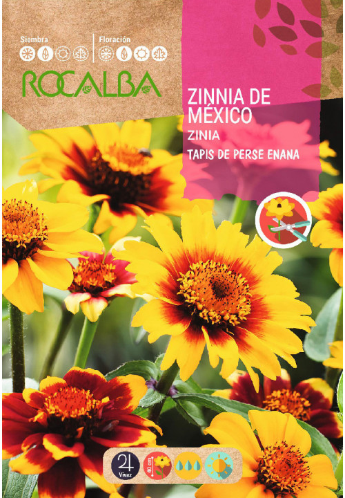 ZINIA DE MEXICO TAPIS DE PERSE ENANA VARIADA