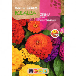 ZINNIA NAIN DOUBLE LILIPUT VARIÉ