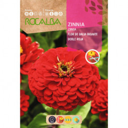 GIANT DOUBLE DAHLIA FLOWER ZINNIA RED