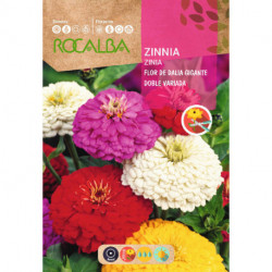 ZINIA GIGANTE DUPLA FLOR DE DALIA VARIADA