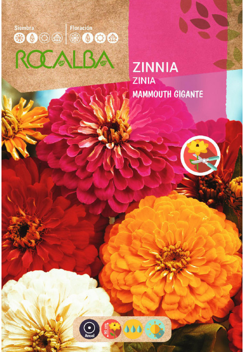 ZINIA MAMMOUTH GIGANTE VARIADA