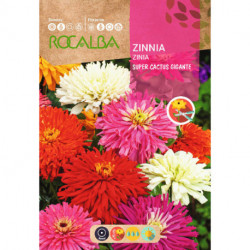 GIANT ZINNIA SUPERCACTUS MIXED