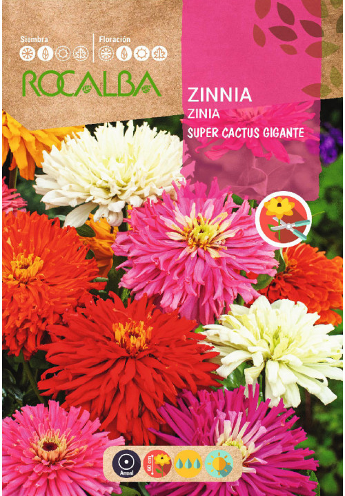 ZINIA SUPER CACTUS GIGANTE VARIADA