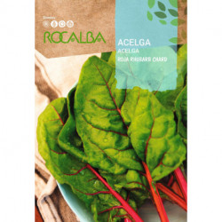 CHARD RHUBARB CHARD ROJA RHUBARB CHARD