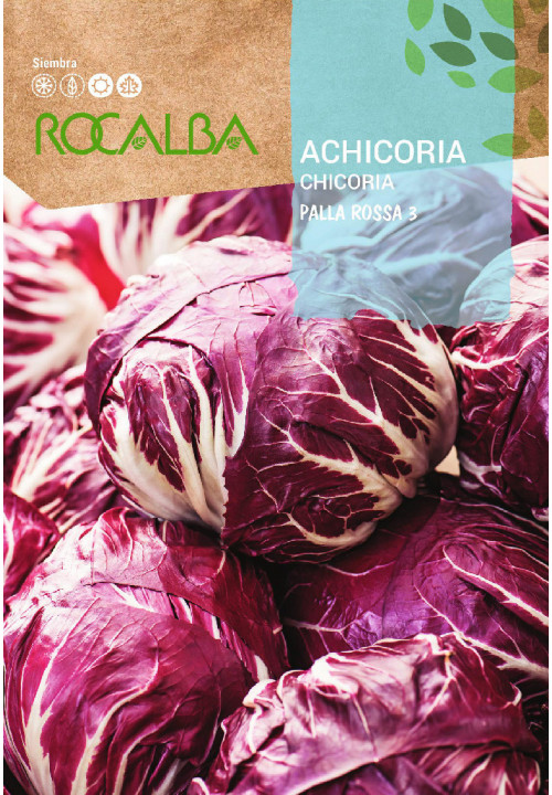 CHICORY Palla rossa 3