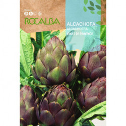 ARTICHOKE Violet de Provence