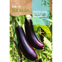 AUBERGINE Negra de Barbentane