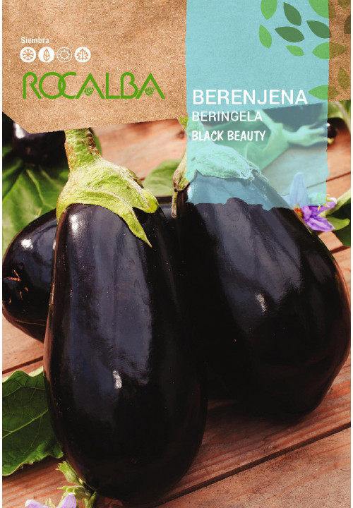 Semillas Berenjena Redonda Negra Black Beauty Batlle - Endanea