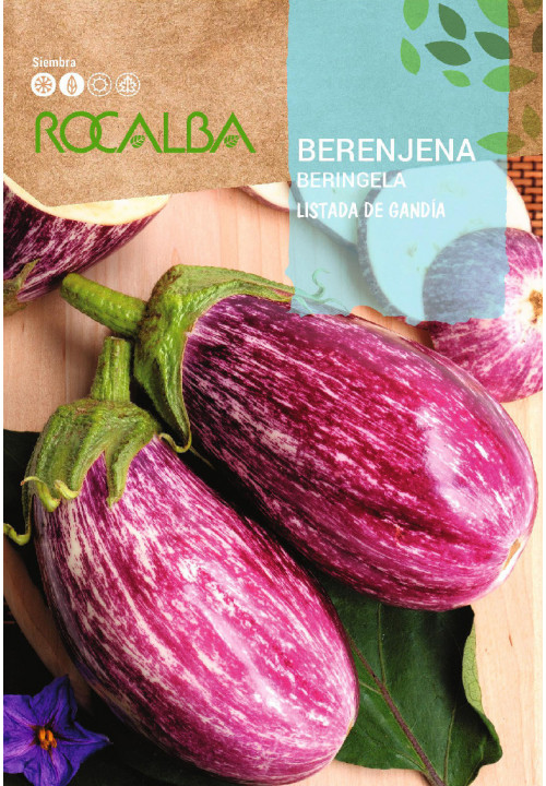 AUBERGINE Listada de Gandia