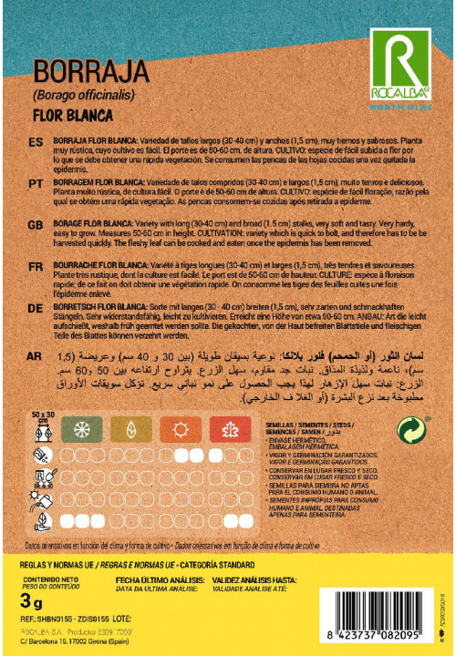 BORRAJA Flor Blanca