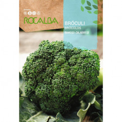 BROCCOLI Ramoso calabrese