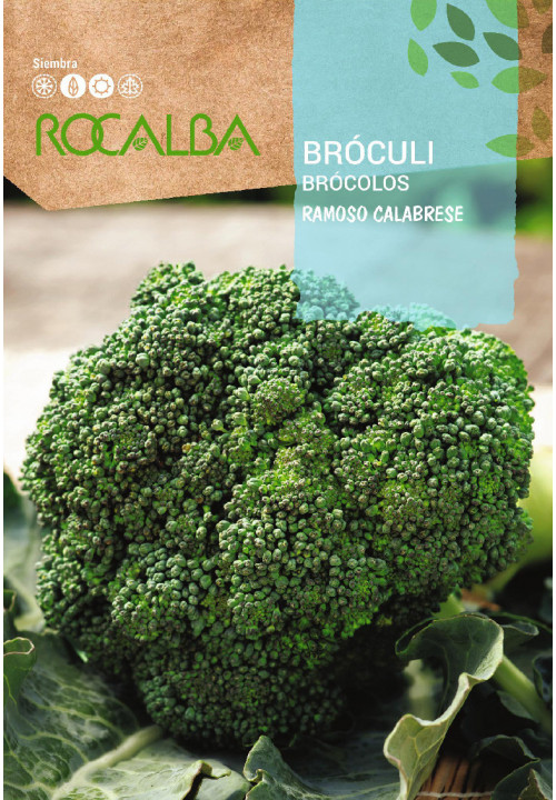 BROCOLI Ramoso calabrese