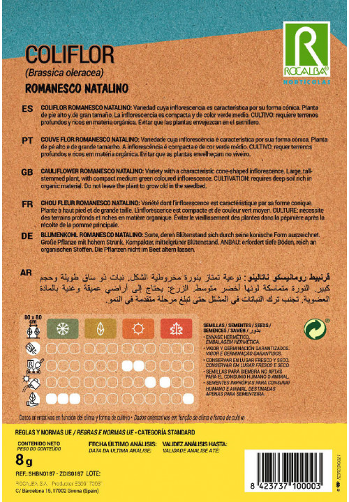 COLIFLOR Romanesco Natalino