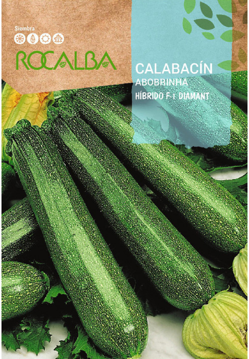 CALABACIN Híbrido F-1 Diamant