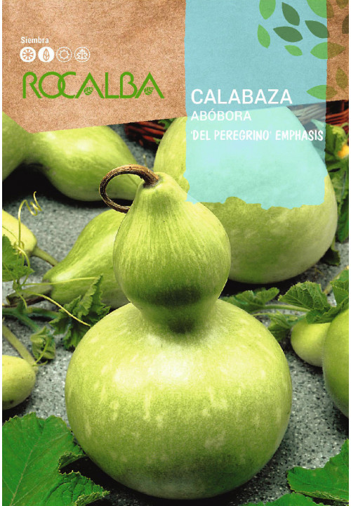 CALABAZA 'Del peregrino' Emphasis