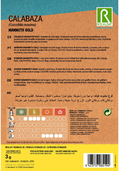 CALABAZA Mammoth gold