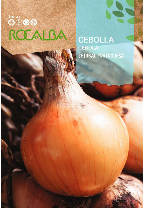 CEBOLLA Setúbal Portuguesa