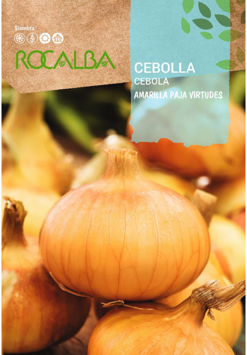 CEBOLLA Amarilla Paja Virtudes