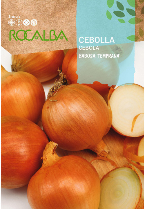 CEBOLA Babosa 'temprana'