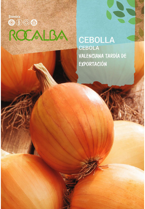 CEBOLLA Valenciana tardia de exportacion