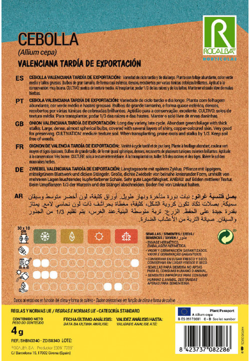 OIGNON Valenciana tardia de exportacion