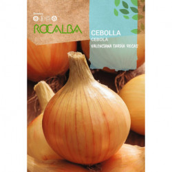 ONION Valenciana Tardia 'Recas'