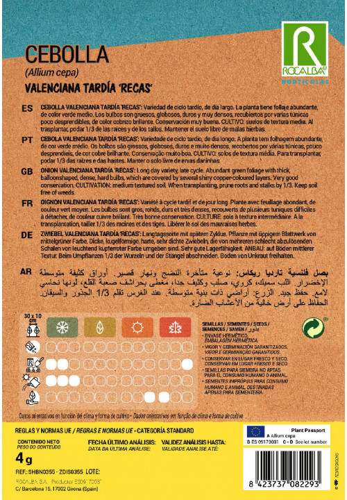 CEBOLA Valenciana Tardia 'Recas'