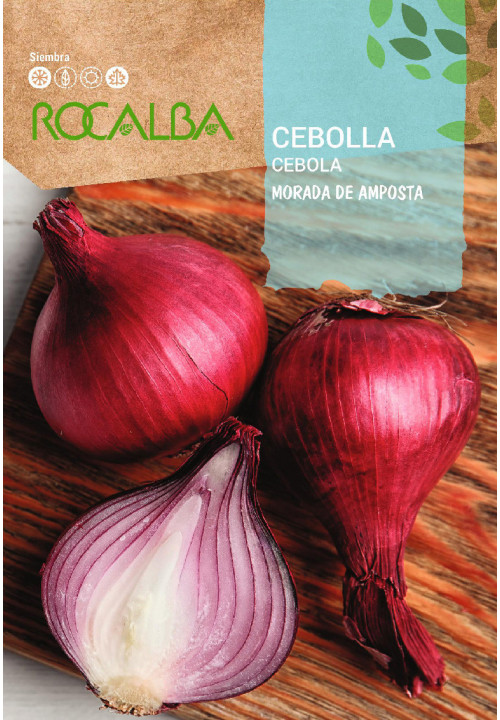 ONION Morada de amposta