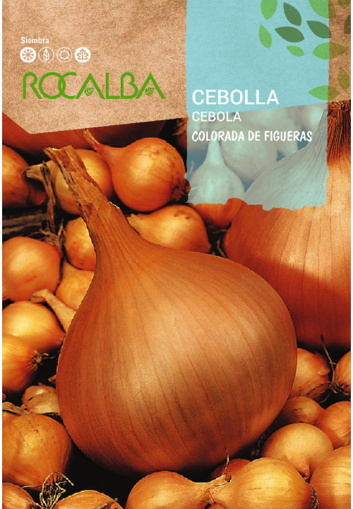 CEBOLA Colorada de Figueras