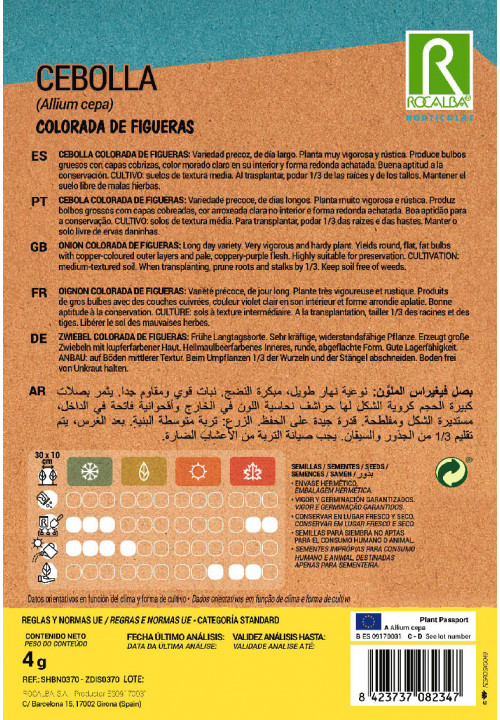 CEBOLLA Colorada de Figueras