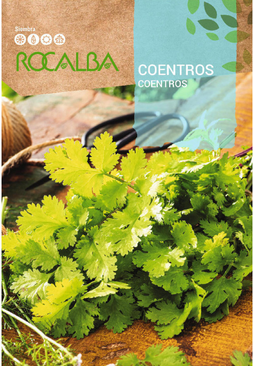 CORIANDER 