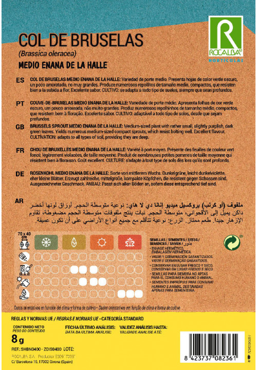 COUVE-DE-BRUXELAS Medio enana de la halle