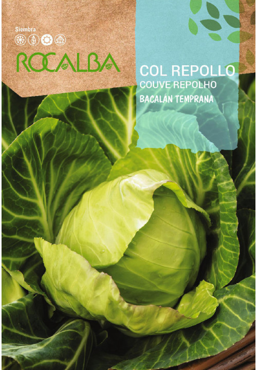 CABBAGE Bacalan Temprana