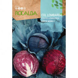 RED CABBAGE Cabeza negra 2