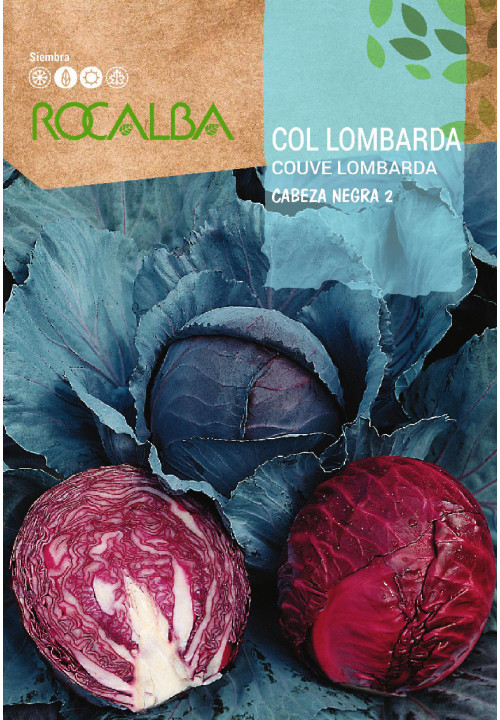 RED CABBAGE Cabeza negra 2