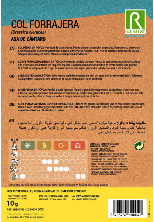 CABBAGE Asa de cántaro selección Penca da Povoa