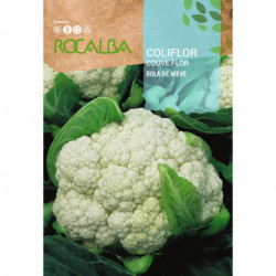 CAULIFLOWER Bola de nieve