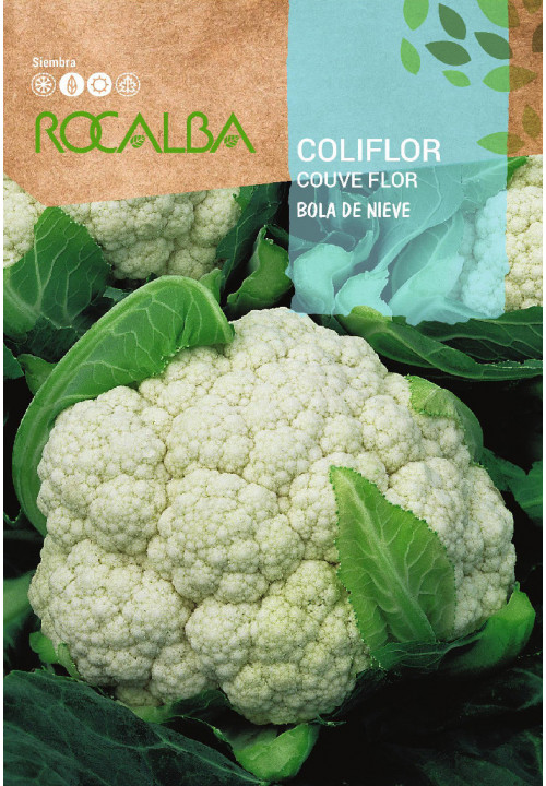 CAULIFLOWER Bola de nieve