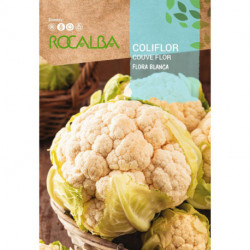 CAULIFLOWER Flora blanca