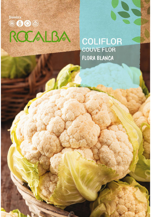 COLIFLOR Flora blanca