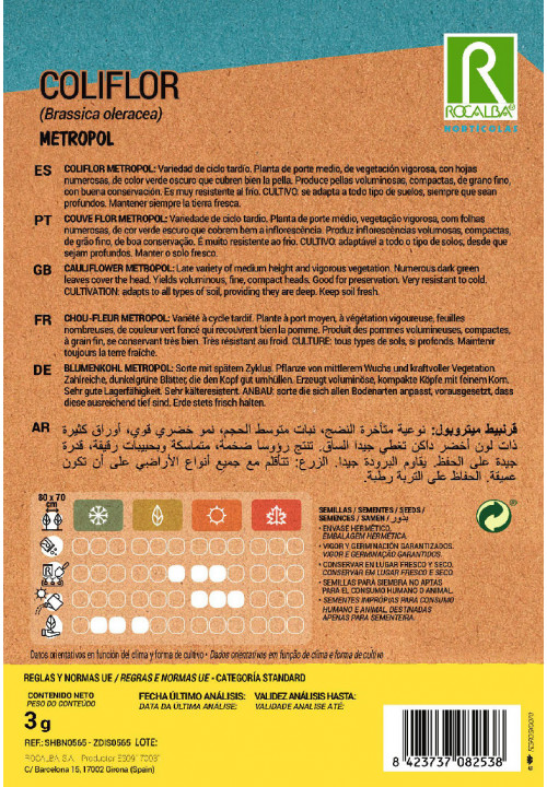 CAULIFLOWER Metropol