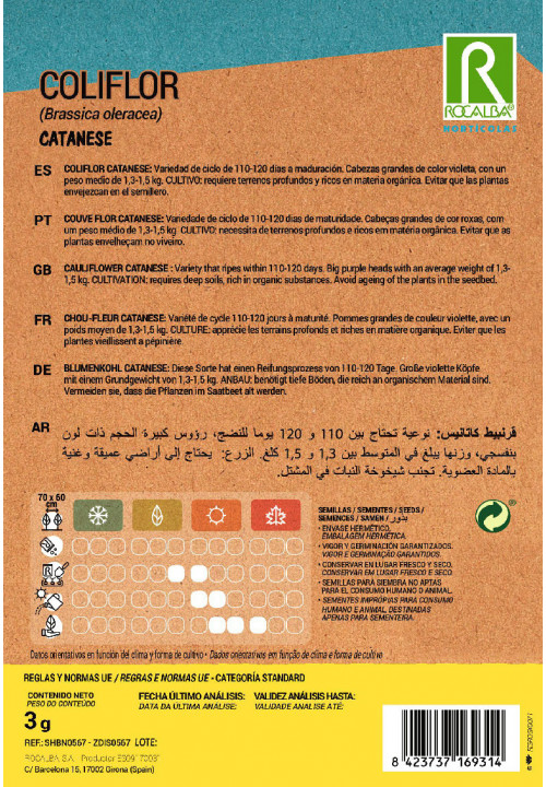 COLIFLOR Catanese