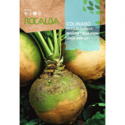 CHOU-NABET Rutabaga cuello verde 'carne amarilla'