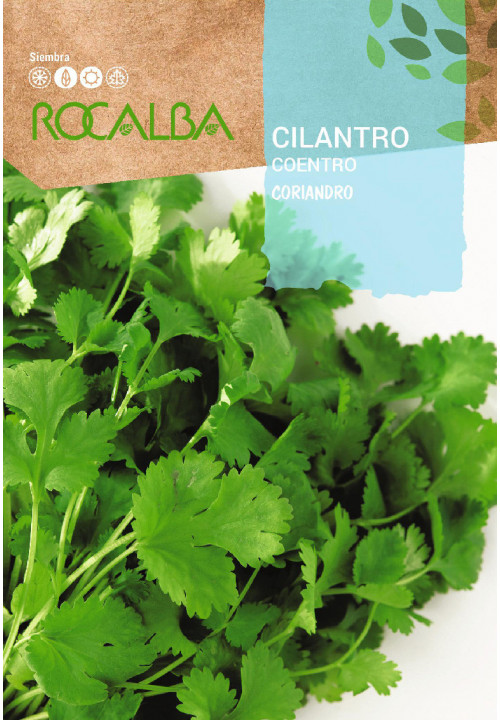 CORIANDER Coriandro