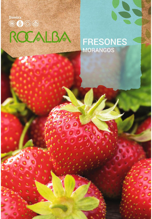 FRAISES 