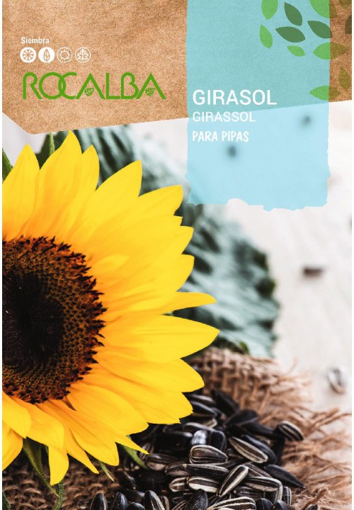 GIRASOL Para pipas