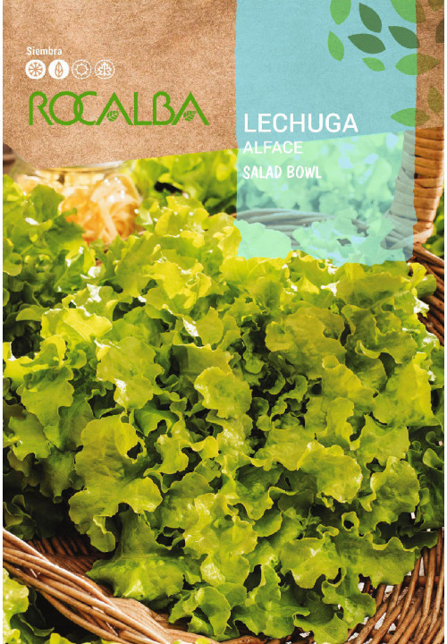 LECHUGA Salad bowl