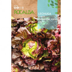 ALFACE Red salad bowl 'Hoja de Roble'