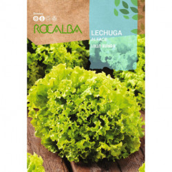 LECHUGA Lollo bionda